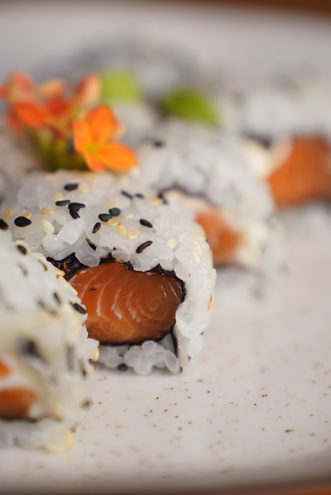 Ilustração sushi